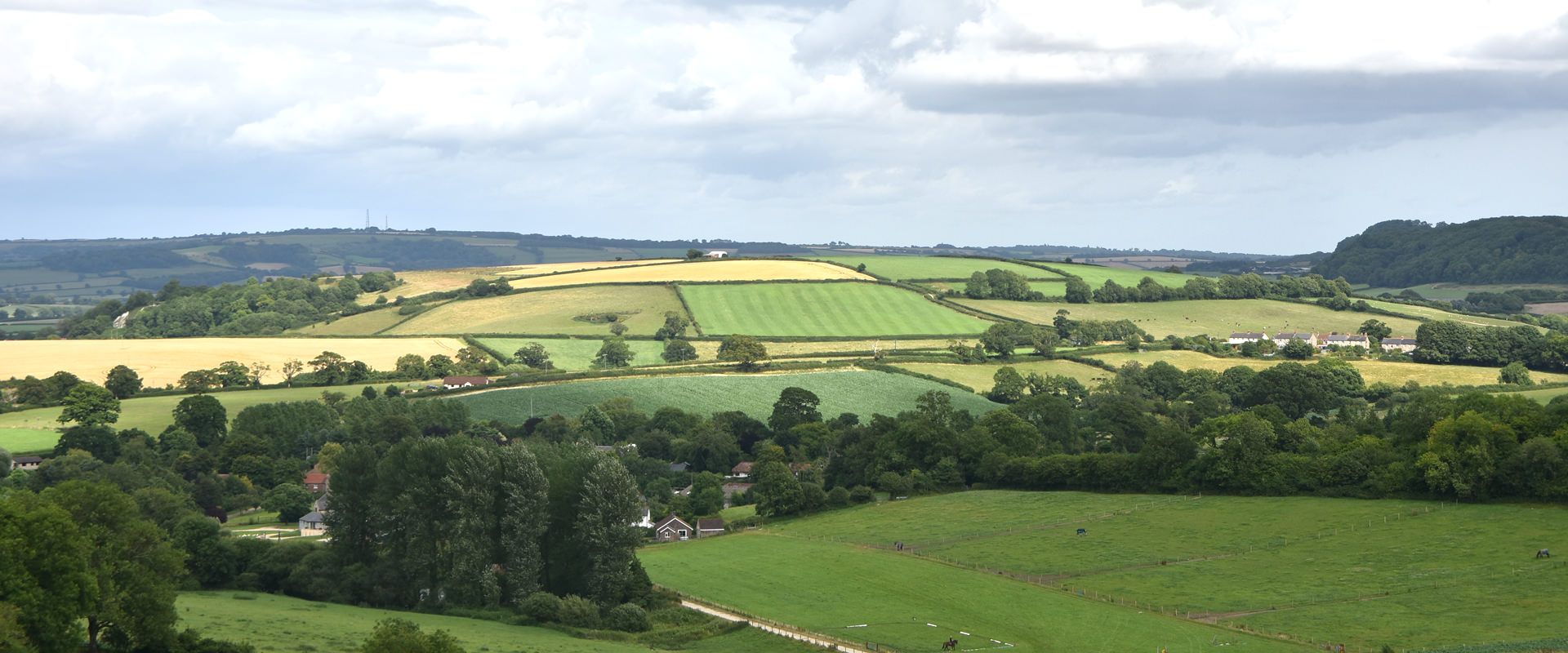 Buckland Newton Estate Agents Dorset Estate Agency DOMVS