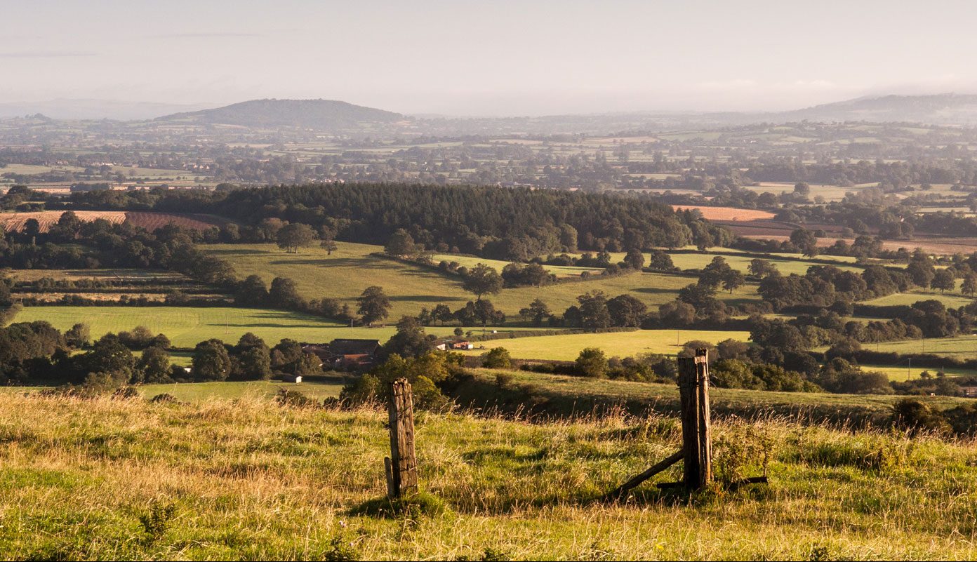 Buckland Newton Estate Agents Dorset Estate Agency DOMVS