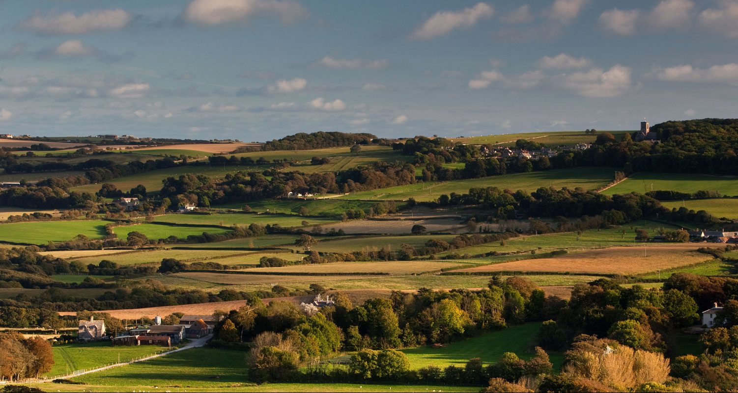 Estate Agents In Church Knowle Dorset Property Market DOMVS