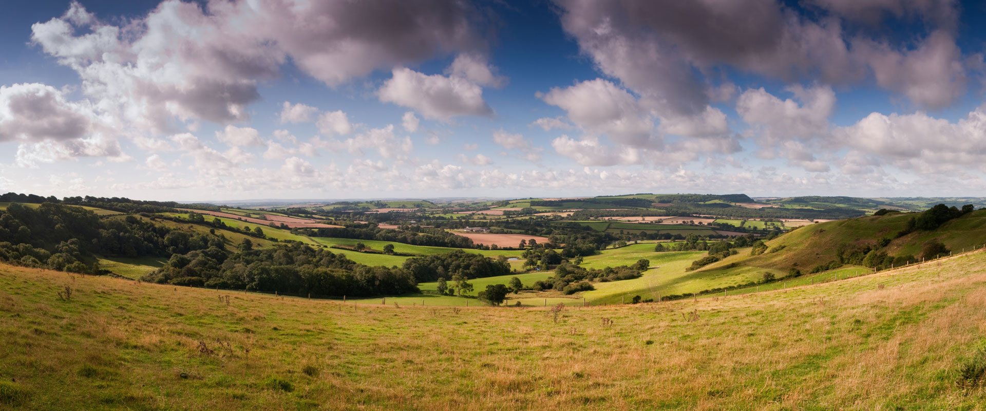 Bingham AwardWinning Estate Agents DOMVS Dorset