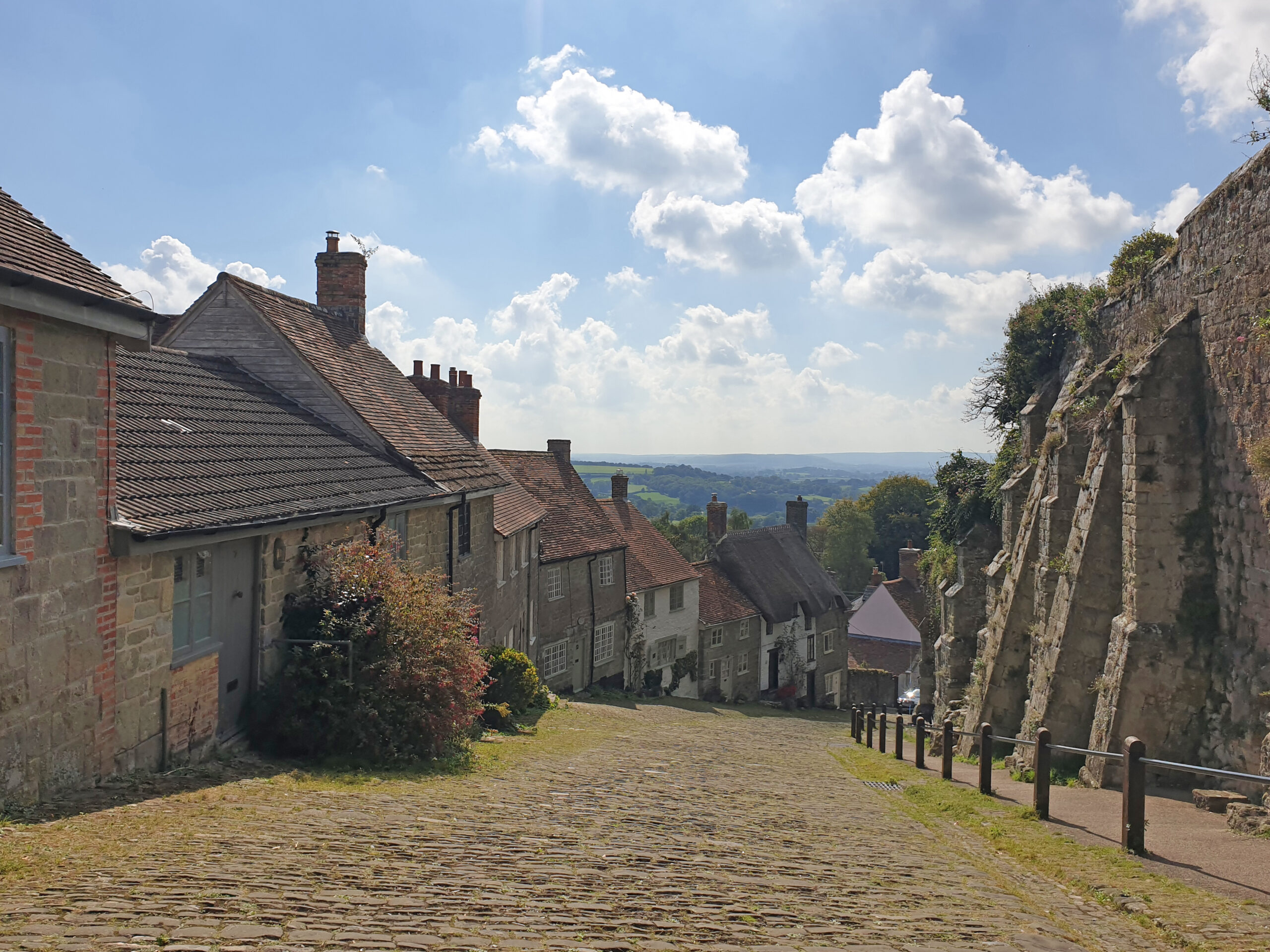 The Shaftesbury Property Market DOMVS Estate Agents