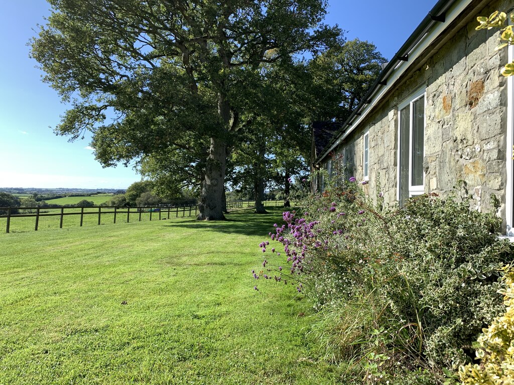 Estate Agents The Property Market DOMVS