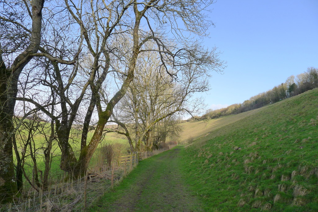 Estate Agents in Tollard Royal The Dorset Property Market DOMVS