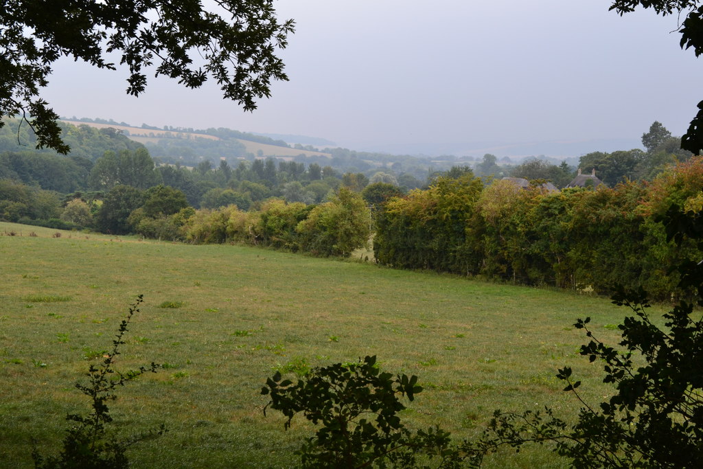 Estate Agents in Compton Abbas Dorset's Property Market DOMVS