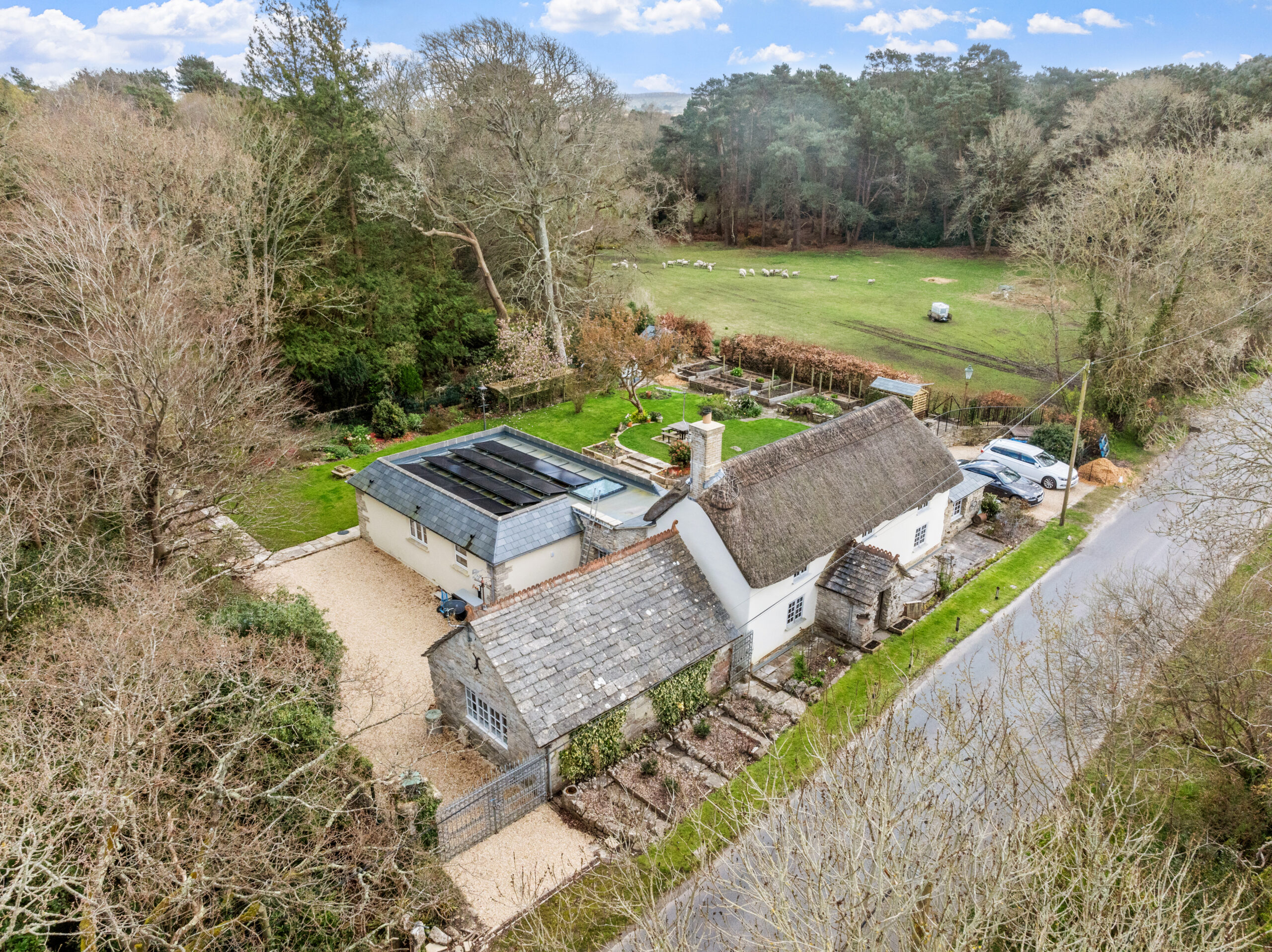 Thatch Cottage In Wareham Launches For Sale Press Release DOMVS