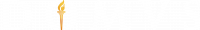 DOMVS Logo_white